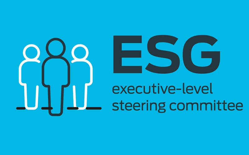 ESG executive -level steering committee